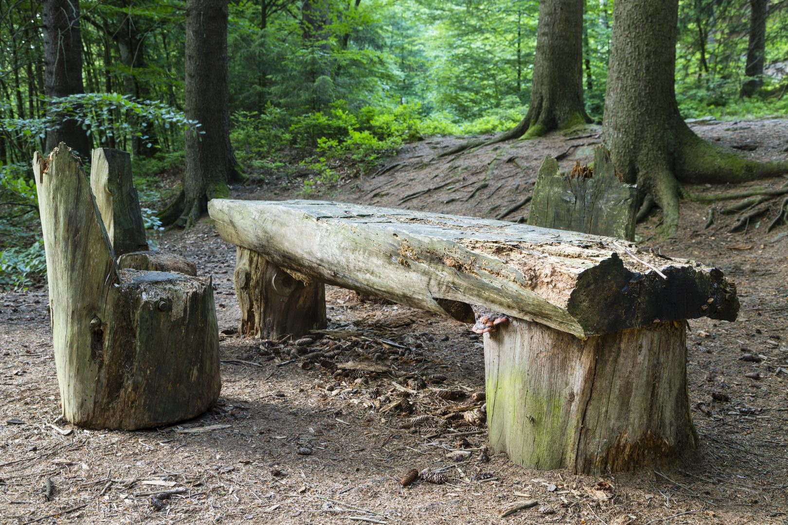 Tafel en stoelen gemaakt van Bomen in de Ardennen